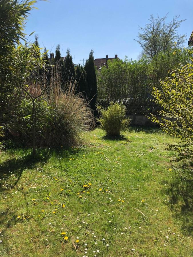 Sieben-Berge-Ferienwohnungen Alfeld  Bagian luar foto